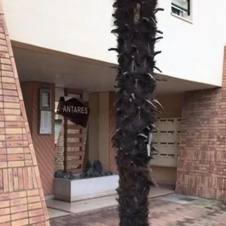 Apartment Antares